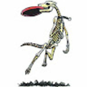 Meet your Posher, Anam